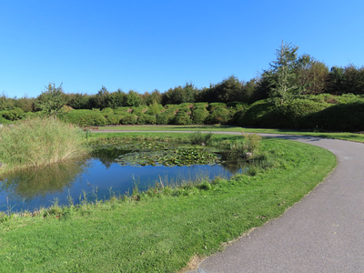 912066 Gezicht op een gedeelte van de Japanse tuin in het Máximapark in de wijk Leidsche Rijn te Utrecht.